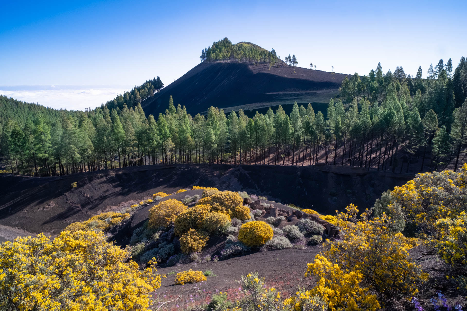 Restos del volcán de 'El Montañón Negro'.