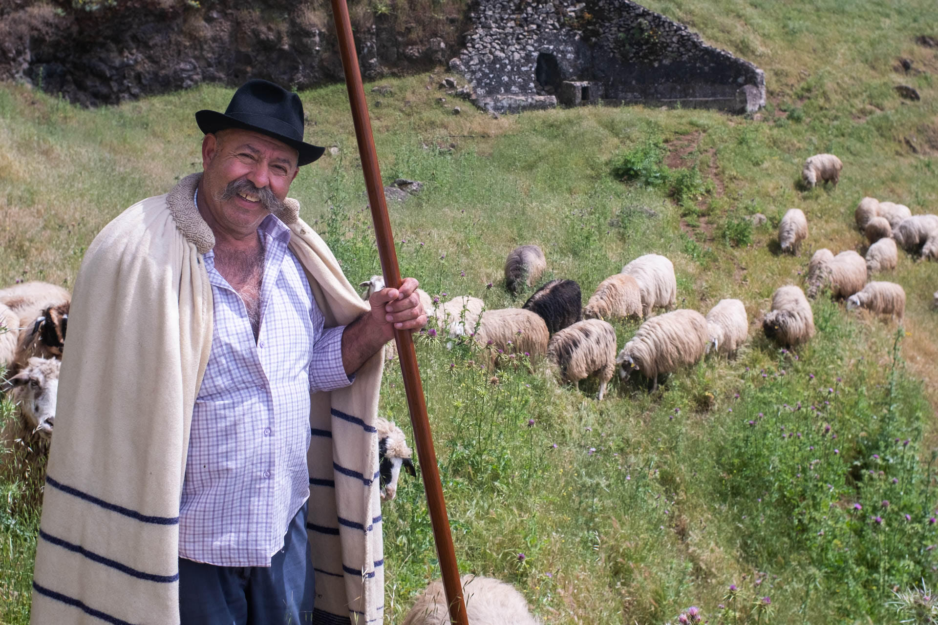 El pastor Pepe, 'El de Pavón'.