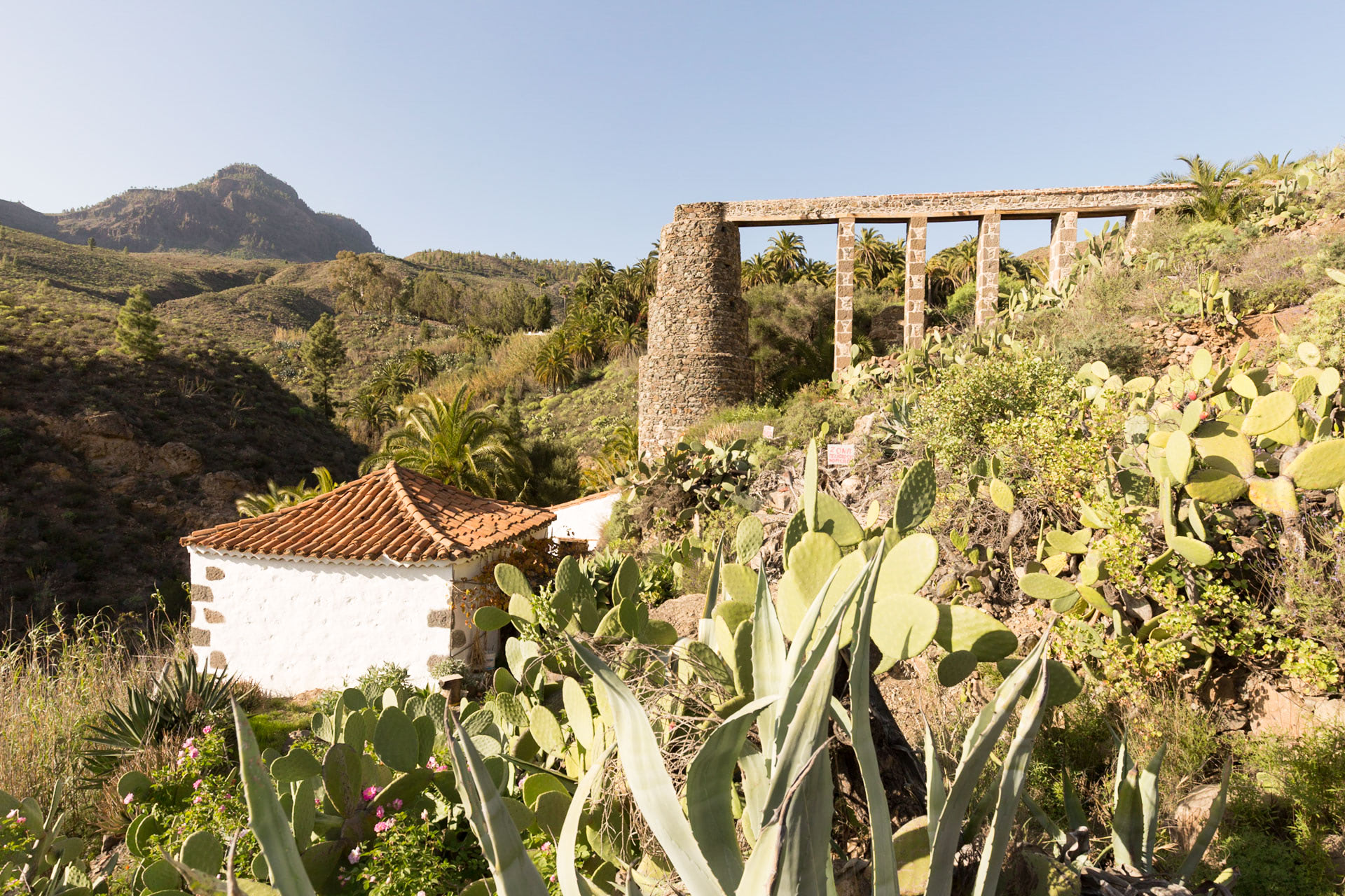 Molino de 'Los Cazorla' en Fataga.