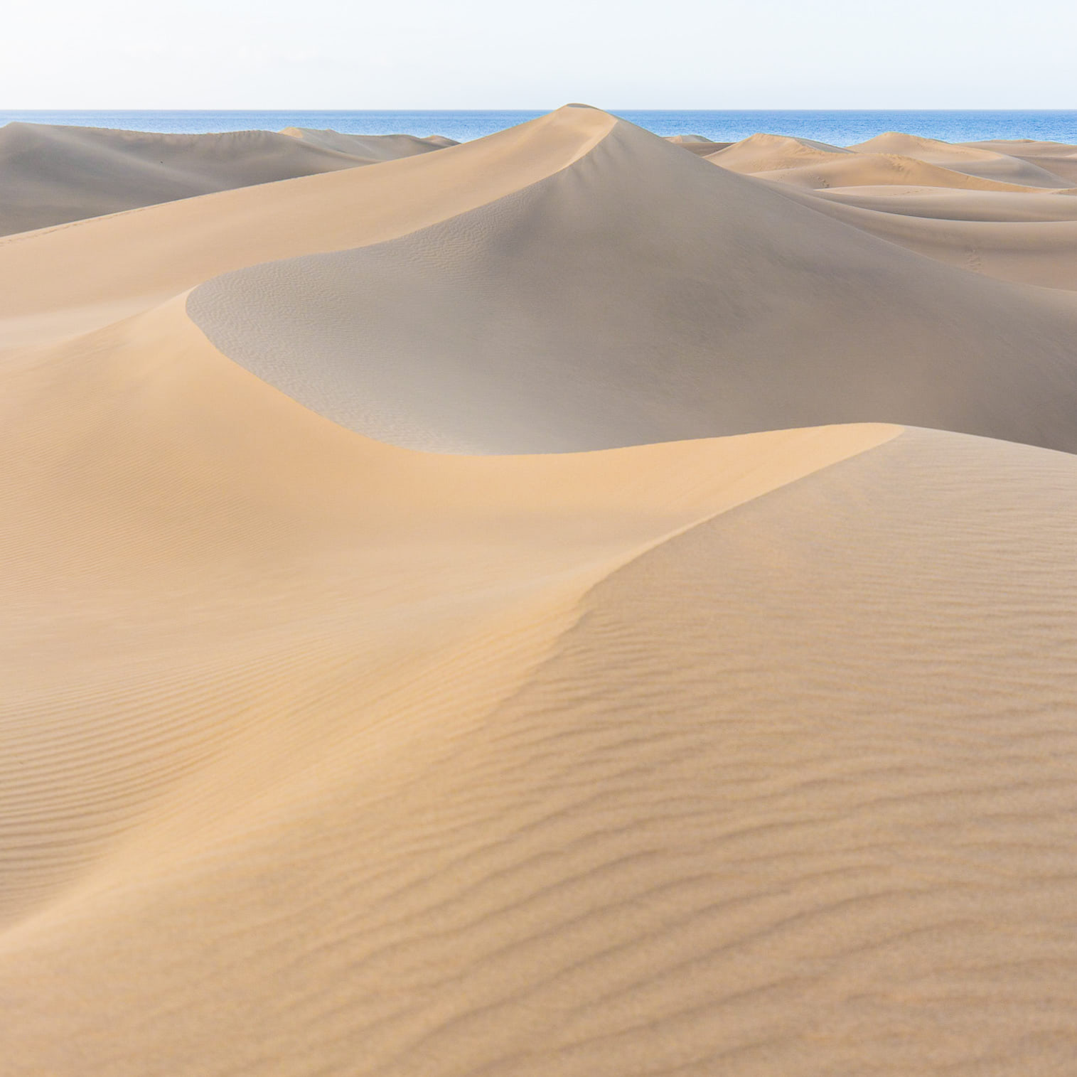 Vista de las Dunas de Maspalomas.